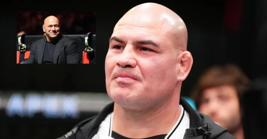 Dana White, Cain Velasquez