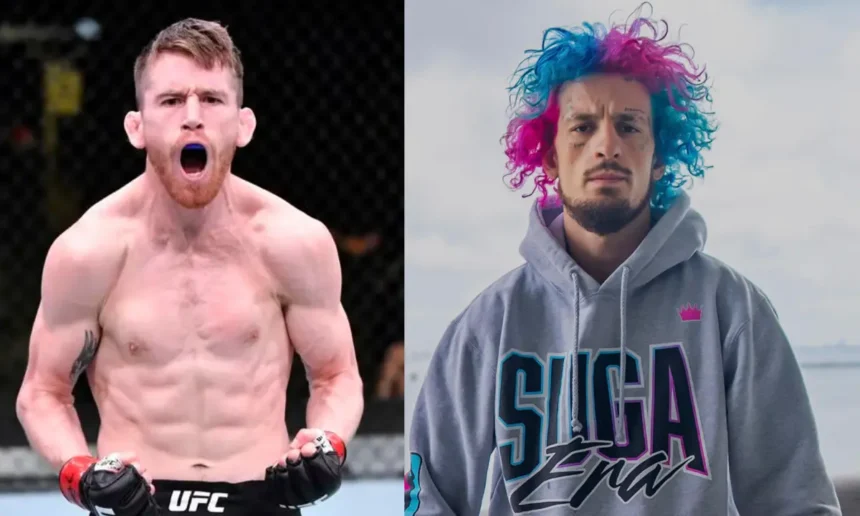 Cory Sandhagen, Sean O'Malley